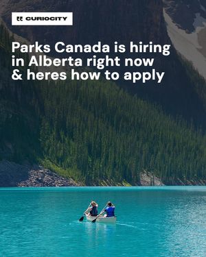 Image post by @curiocitycalgary on Instagram