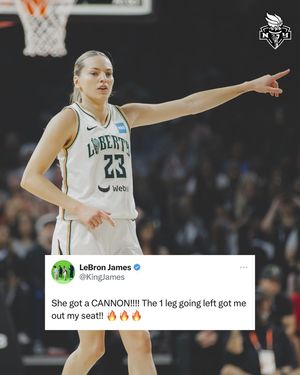 Image post by @nyliberty on Instagram
