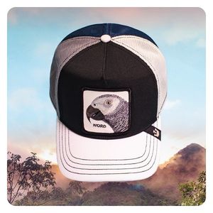 Image post by @goorinbros on Instagram