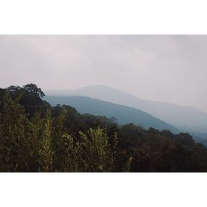 Image post by @lancencook on Instagram