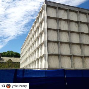 Image post by @yalevolleyball on Instagram