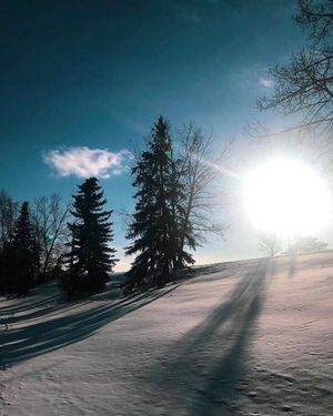 Image post by @cityofcalgary on Instagram