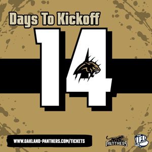 Image post by @panthersifl on Instagram