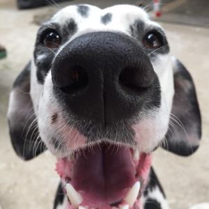 Image post by @snaffle_it on Instagram