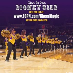 Image post by @lsutigergirls on Instagram