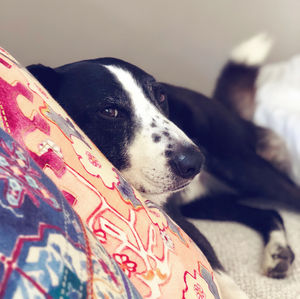 Image post by @colleenwolfe on Instagram