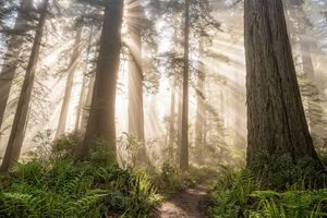 Image post by @nationalparkscollective on Instagram