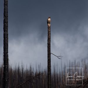 Image post by @lightboximages on Instagram