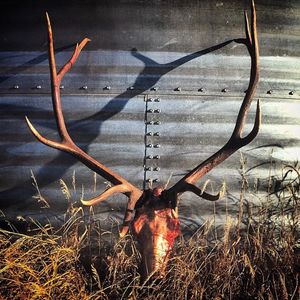 Image post by @10thmtnwhiskey on Instagram