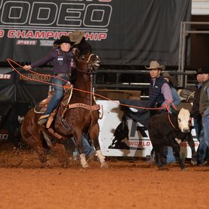 Image post by @womensrodeo on Instagram