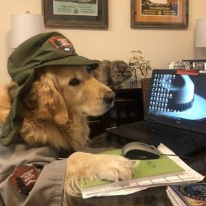 Image post by @nationalparkservice on Instagram