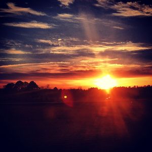 Image post by @mollybdon on Instagram