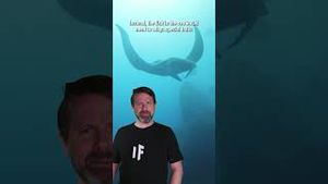 Video post by @whatifscienceshow on YouTube