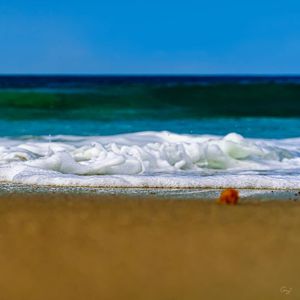 Image post by @amy.kennedy.photos on Instagram