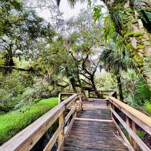 Image post by @visitsarasotacounty on Instagram