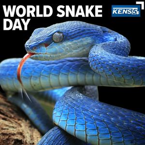 Image post by @kens5 on Instagram