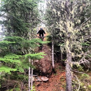 Image post by @finniles on Instagram