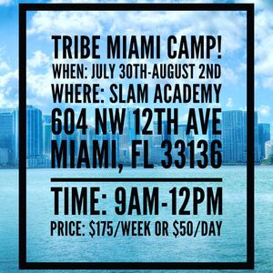 Image post by @mytribevolleyball on Instagram