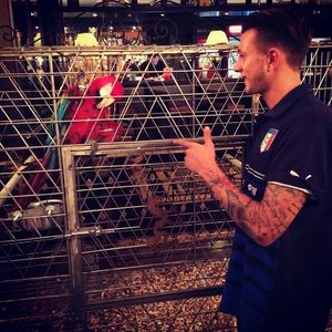 Image post by @fbernardeschi on Instagram