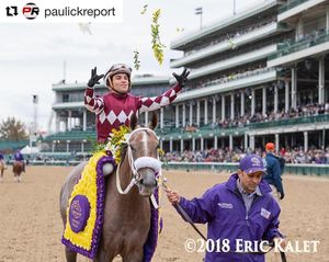 Image post by @spendthriftfarm on Instagram