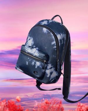 Image post by @Coach on Twitter/X