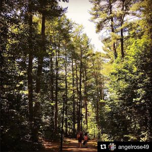 Image post by @uofnh on Instagram