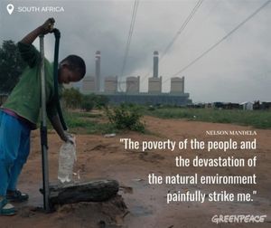 Image post by @greenpeace on Instagram