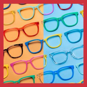 Image post by @knockaround on Instagram