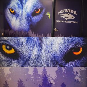 Image post by @nevadawbb on Instagram