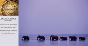 Image post by @chiawasafaris on Instagram