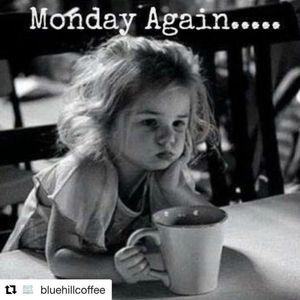 Image post by @swu_edu on Instagram