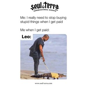 Image post by @soulterra on Instagram