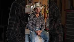 Video post by @pbr on YouTube