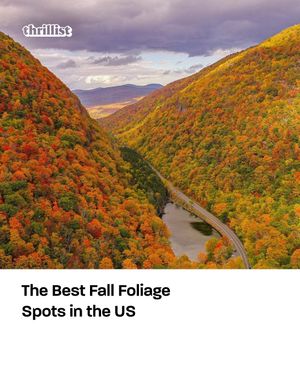 Image post by @thrillist on Instagram