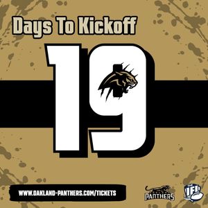 Image post by @panthersifl on Instagram