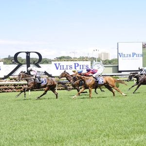 Image post by @australianturfclub on Instagram