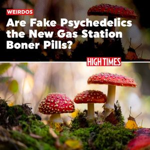 Image post by @hightimesmagazine on Instagram