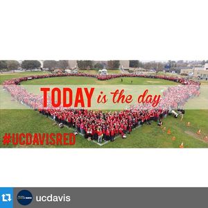 Image post by @ucdavishousing on Instagram
