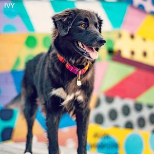 Image post by @wkrntv on Instagram