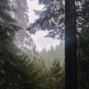 Image post by @jonathn_roberts on Instagram