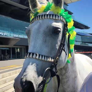 Image post by @australianturfclub on Instagram