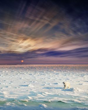 Image post by @natgeo on Instagram