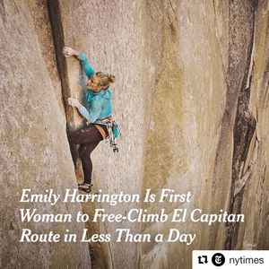 Image post by @leadsportsco on Instagram