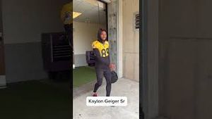 Video post by @ticatstvchannel on YouTube