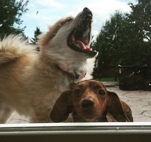 Image post by @the_ilee on Instagram