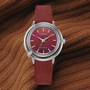 Image post by @citizenwatchus on Instagram