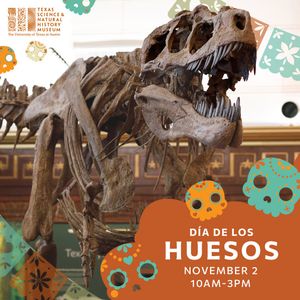 Image post by @texassciencemuseum on Instagram