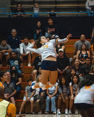 Image post by @utepvb on Instagram