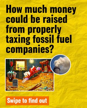 Image post by @greenpeace on Instagram
