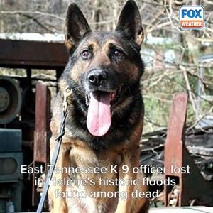 Image post by @foxweather on Instagram